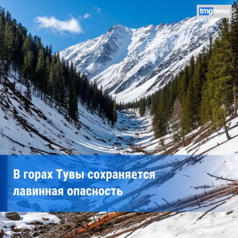 � ������ ������� ���� �������� ������������� ������