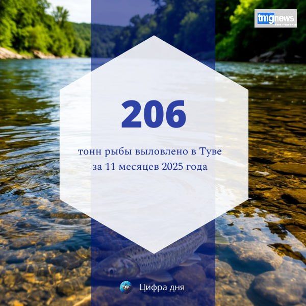 ����� ���������� ���� ��� ����? �������� ����� ������������ �������� �������