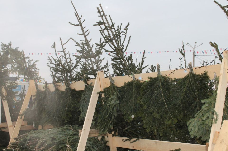 ���������������� �������������: ���������� ��� ����� ���� ������