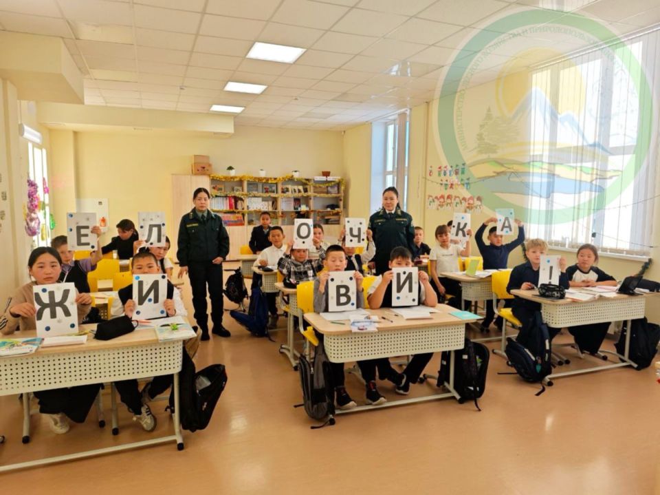 � ���� �������� ����� �������, ����