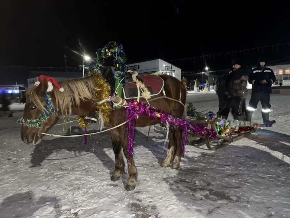 ���-�� �������� ��� ����� ������������ �������� ������ ����� ����� �������� ������� ���� ��������