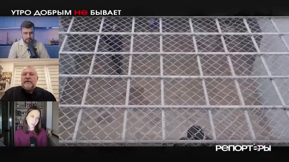 Кирилл Кабанов о том, как политкорректность и слепая лояльность превратилась в союзника терроризма