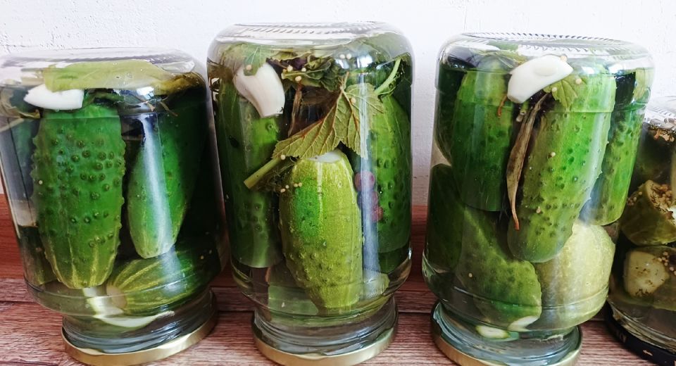 Хрустящие огурчики на зиму: рецепт без стерилизации