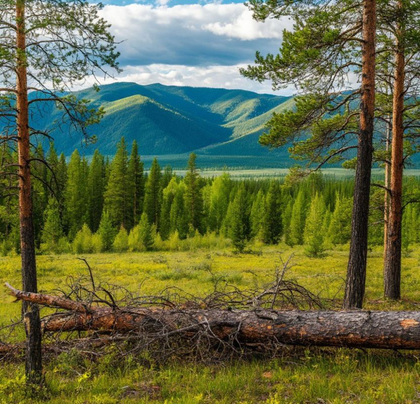 � ���� ��������� ������� ���������: ����� ����� 4,8 ������ ������������� ��������� �������� ��������