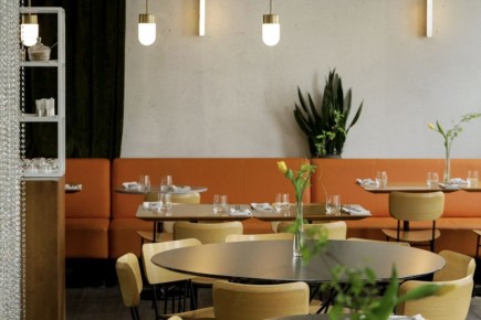 ���������������� �������� ���� ������