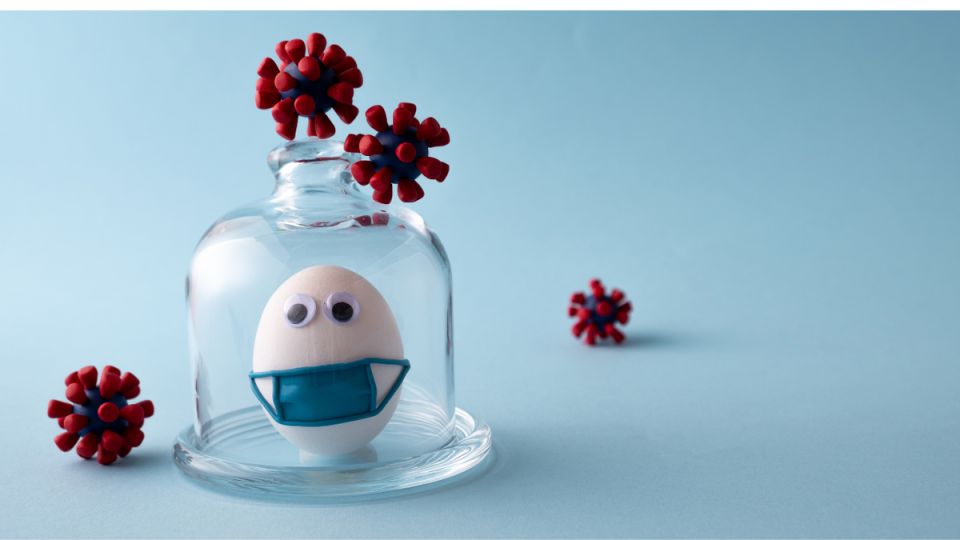 ��� �������� ���� �����: ����������� � �������� � 2026 ����