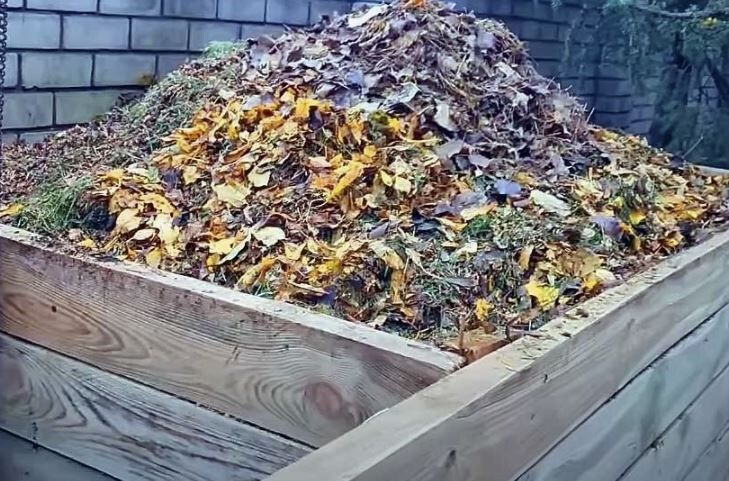 ������� ����� ��� ����: ��� ��������� ����������� ������� � ����