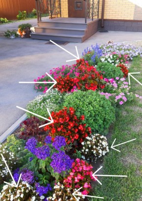 �������� ���: ��������, ������� ������ ���� � ������ ����� �� �����