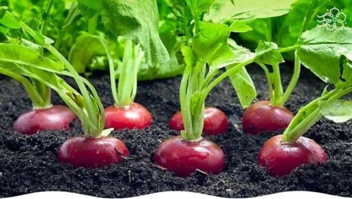 ����� �� �����: ������������ ������ � �������� ��� ������ �������