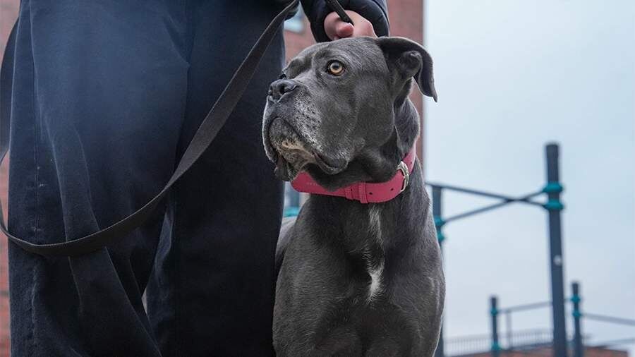 ����� � ������ ��������: ������������� �� ������������ ����� ����������