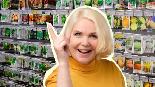 ������� � �������� ����� ����������: ������ ���� ������� ������ �������� ��� � ����