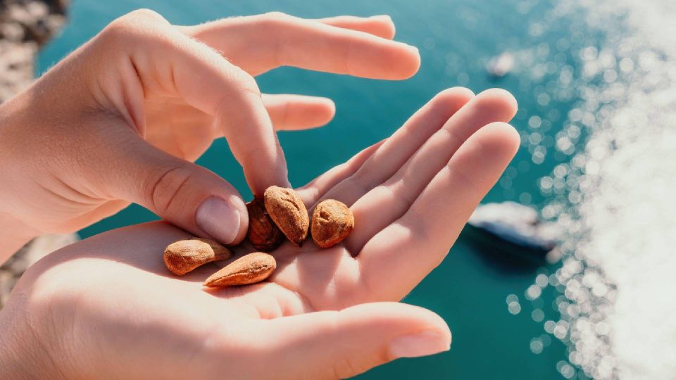 ������ ������� ��� � ������� � ������� ��������: �������� ������� �� ���������