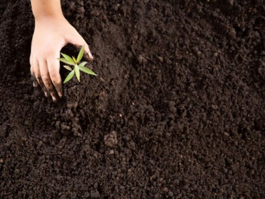 ���������� �����: ��� ������� ��������� ���� ����� ��� �����