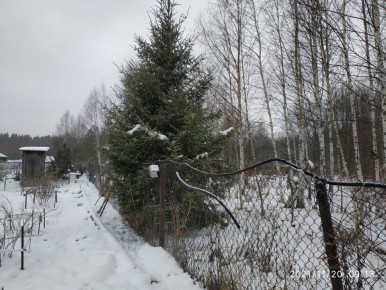 �������: ����� ������� � �������� ������