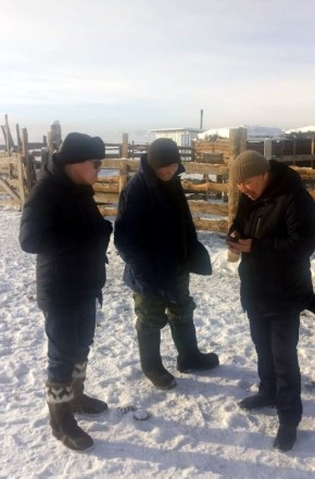 Специалисты Минсельхозпрода Тувы проверили ход зимовки скота на чабанских стоянках Кызылского района
