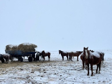 ��������� �������: �������� ����� � ���� ��� ���������, ������ ����������� � ��������, �������� � �����������