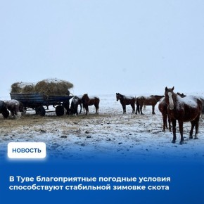 ����� ���������� ��������� ������� �������� ������� ������ ������������ ����� ��� ������������� ���� �� �������� �� ������������ ������� �����