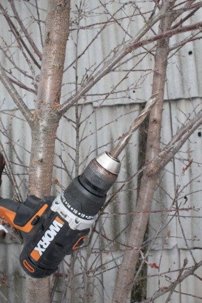 �������� �������� � ������� �����: ����� ������, ������� �������� ���������