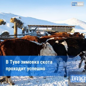 ��������������� ���� ��� ���������: ��������� ������ �������� �� ��������� ��������