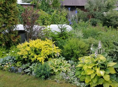 ��� �������������� ��������� ������: �� ������ ����� �� ������������ ��������� ��������