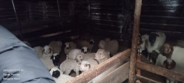 ������� ��������� ��������� ���� �������� ��� ������� � ���-������� ������