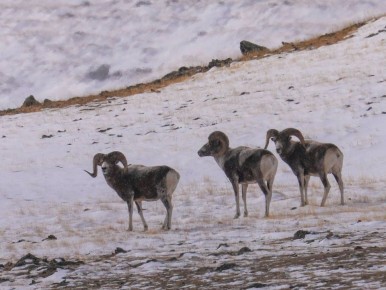 �� ������� ���� � �������� ��������� ����� ���� ����� ������ ���������� ������� ������