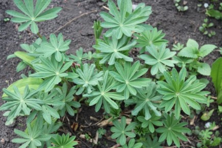 �����: �� ������ �������� ������, �� � ��������� ��������� ��� ������ ����