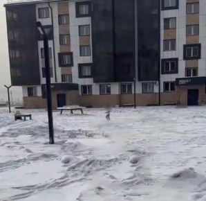 �� ���������� � ���������� ����� ����������� ������������ ������� ��������� ��������