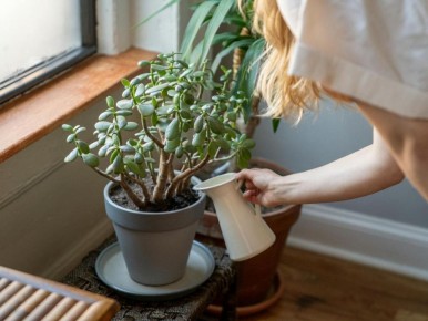 ������� ������ ��������� ������: ��� ����� �� ���������� �����