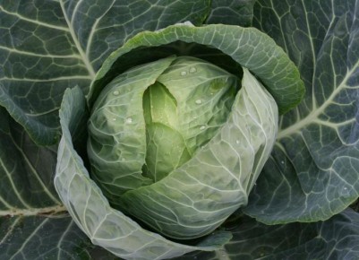 ��� ��������� �������: ������� ������ � ������� �������