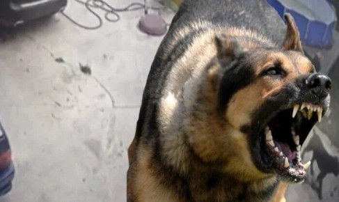 50 ����� ������ �� ������ � �������� ������: ��� ��������������� �� ������� ���������� �����