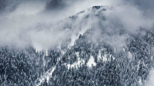 �� ������ ����������, �������� ������ �� ����� 40 ������� � ������ ����� ���������� � ���� � ������ - 24 ������