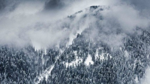 �� ������ ����������, �������� ������ �� ����� 40 ������� � ������ ����� ���������� � ���� � ������ - 24 ������