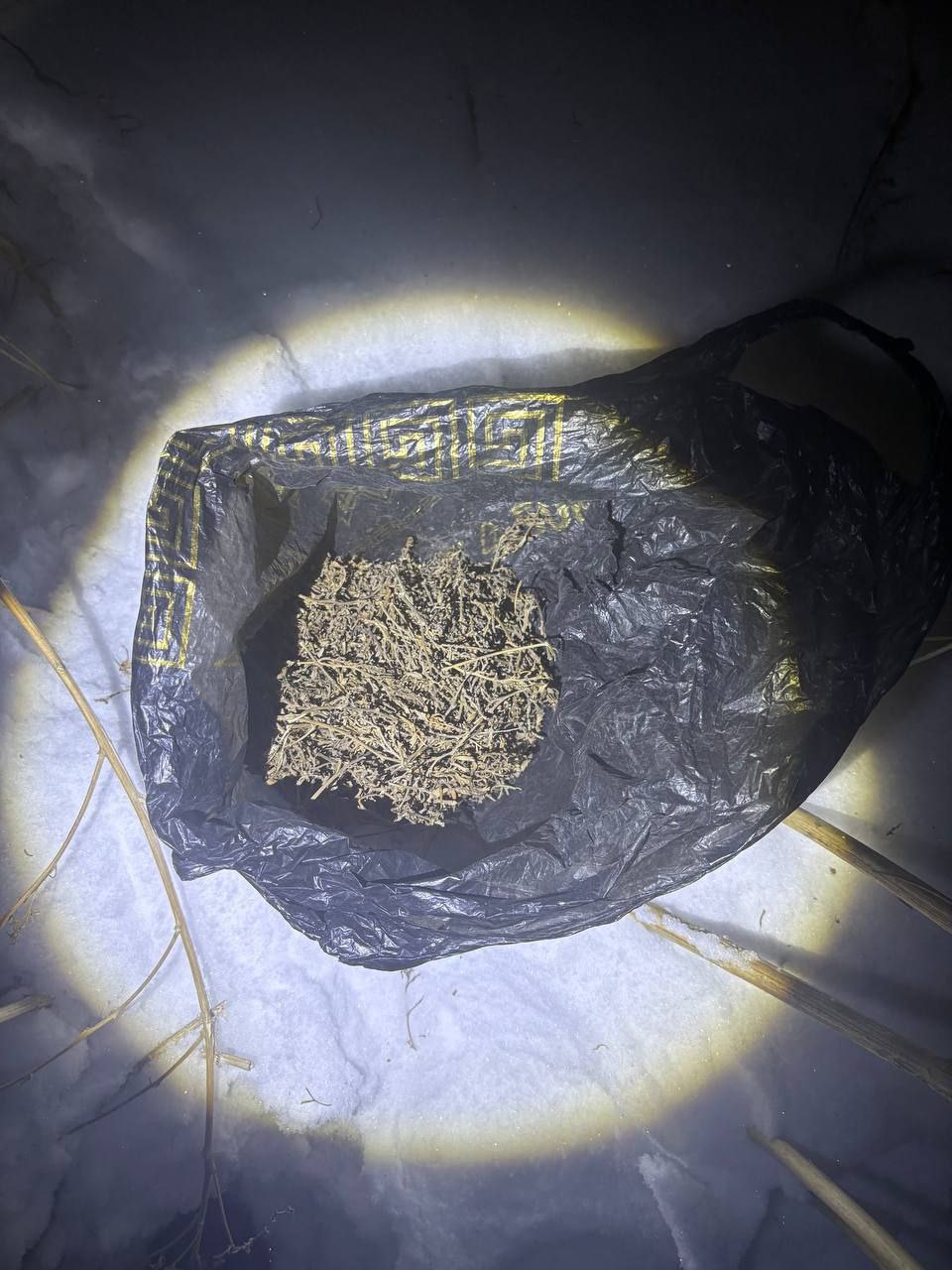 Сотрудниками патрульно-постовой службы в Кызыле раскрыт факт незаконного хранения наркотических средств