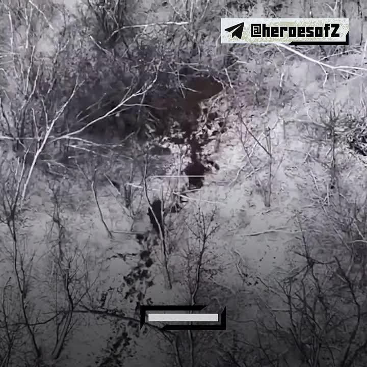 ��������� ������ ������� ����� �� ���������� ����