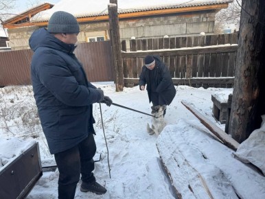 � ������ �������� �������������� ������������� �����