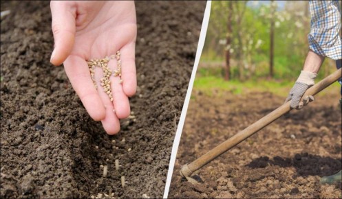 ��� ����������� ������� � ����: ���� ������ ��� ���� ��� ������ ������