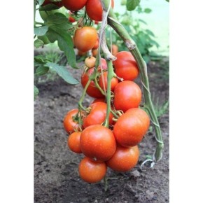 ���������� ������: ������������ ����� ��� �������� �������� � ��� ������� ������