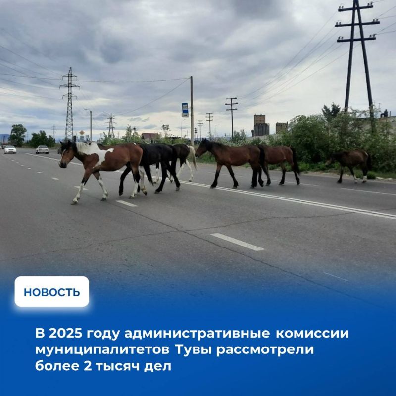 � ������������� ���������� ���� ��� ����������������� ����������� ������������ ������������� ������� ������� ������� ���������� ���������, �� ������� ���� ��������� ����� ������������ ���������������� �������� �������������...