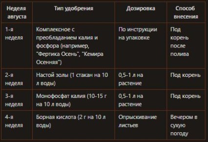 Патиссоны в августе: как сохранить урожай до поздней осени