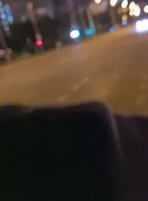 ��������������� ������� �� ������������ ��������� �������� � ���������� ����� � ��������-�������� "������������ (���������)"