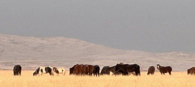 Тывада хереглел чок кдээ ажыл-агый черлерин ажыглалче киирер дээш ажылдар уламчылап турар