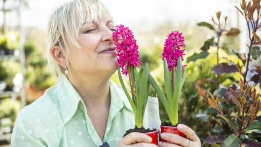 � ���� �������� ������ �������������: ��� 3 ������, ������� ����� ��������� ��������