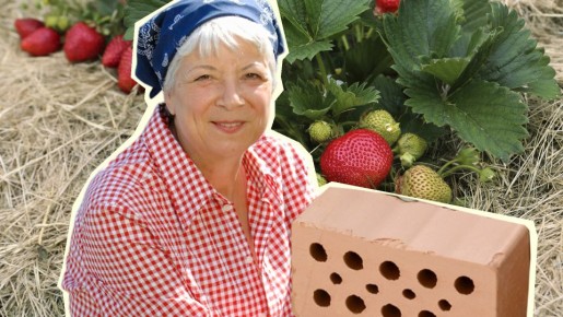 ������ ������� ������ �� ������ ������: �������� ��������� ������� � ��������