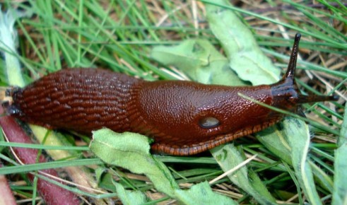 ��� �������� ������ ����� � ��� � ���� ������?