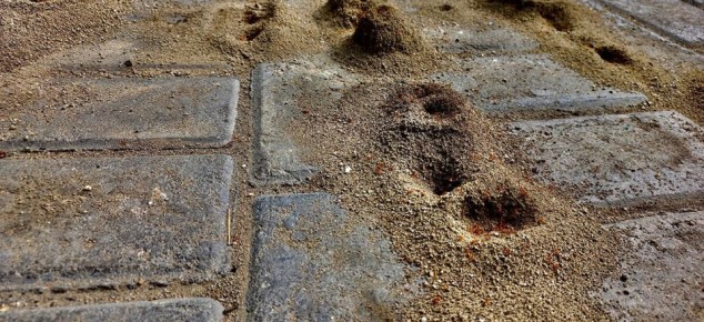 ��� ���������� � ��������� � ����� ����: �������� ������ � ������