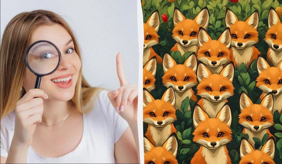 ������� ������ ����� ����� �� 5 ������: �������� ����� ��������������