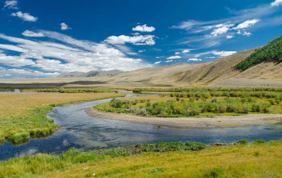 �� ������ �������� ����� ���� ���������� ������