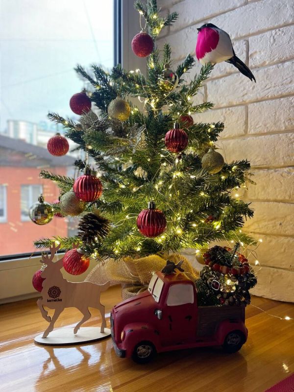 Волшебный домик «Камелика» готовится принимать гостей с 1 декабря