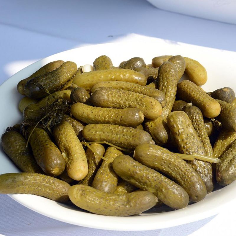 Как выбрать корнишоны для теплицы и открытого грунта